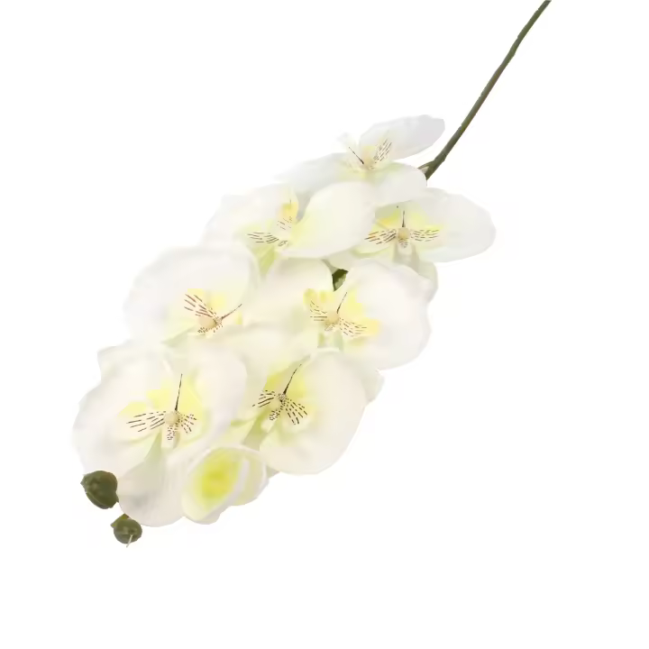 Ramo de flores artificiales de seda para decoración del hogar, mariposa, orquídea, Phalaenopsis, tacto Real, rosa de peonía, 1 unidad - 1