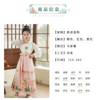 Falda con cara de caballo para niña, conjunto modificado Hanfu, disfraz antiguo Ming Tang de estilo chino para niña, verano para niños - details 5