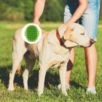 Cepillo de baño de silicona para perros y gatos, cepillo de aseo con correa ajustable, adecuado para pelo largo y corto - details 6