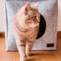 Cueva de fieltro para estanterías productos para gatos modernos y con estilo accesorios para gatos