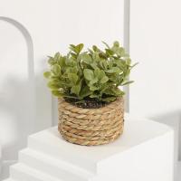 Plantas artificiales de Eulyptus, material de pila de hierba tejida de 11cm, decoración del hogar - details 16