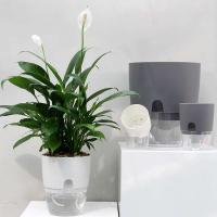 Plantas hidropónicas de doble capa de plástico autoirrigadas, bonsái ETA, éter jugoso ETA, decoración del hogar y la oficina - details 1