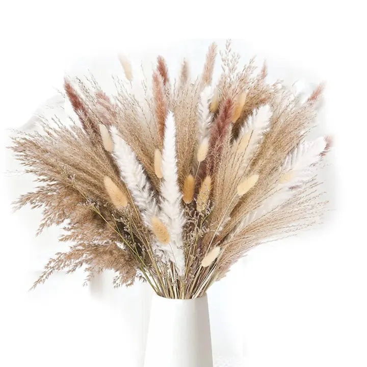 Jarrón decorativo de hierba de Pampas, arreglos de diseño para el hogar, Plantas secas naturales, flores secas esponjosas, 43 cm, 85 Uds. - 1