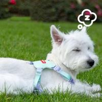 Cinturón de tracción para mascotas, chaleco con arnés para el pecho transpirable, correa reflectante ajustable para mascotas, correa antiescape para gatos, suministros para mascotas - details 4