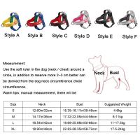 Arnés ajustable para perro, chaleco cómodo reflectante, correa para el pecho para perro, chaleco para mascota resistente a la explosión, Bulldog Francés - details 0