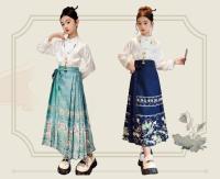Falda Ma Mian para niñas, ropa estilo Tang, nuevo estilo de hadas de verano Hanfu, vestido súper hermoso, estilo occidental - details 2