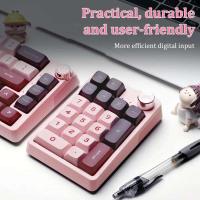Wireless Keypad Programming Custom Knob  Button Gaming nical Hotswap Portable Numeric Keyboard - details 1