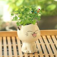 Mini plantas lindas de dibujos animados con forma de cerámica, expresión ETA, gato ETA, decoración de escritorio, pequeños adornos - details 6