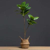 Decoración de Campo Verde Artificial de Alta Calidad 105cm, Ramas de Magnolia Falsas, Hojas de Goma Plástica, 2 Garfos - details 3