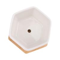 Maceta de cerámica hexagonal blanca con bandeja, maceta Europea Simple, contenedor de plantas suculentas, macetas pequeñas para bonsái - details 19