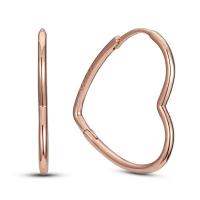 Pendientes redondos de circonio para mujer, colección de joyas geométricas, plata pura, oro rosa, accesorios de regalo - details 18