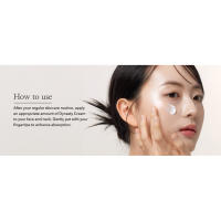 Dynasty Cream