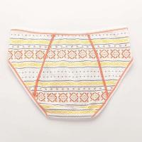 Ropa interior de algodón retro de talla europea a prueba de fugas para mujer, absorbe una pequeña cantidad, período menstrual - details 7