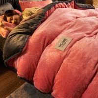 Funda nórdica suave y cálida de terciopelo de leche azul, manta de felpa de doble cara, ropa de cama de lujo, tamaño Queen, invierno, nuevo - details 17