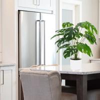 Planta Artificial Monstera en Maceta