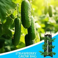 Bolsas para cultivo de fresas, suministros de plantación de jardín de alta resistencia con mango para patios traseros, terrac y - details 1