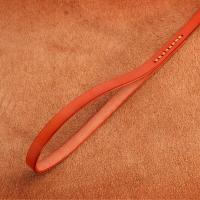 genuino mascotas pequeños, medianos grandes, Collar cuero duradero ustable para perros y cachorros, conjunto de correas XS-XL - details 10