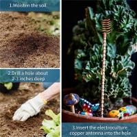 Paquete de 6 antenas de bobina de cobre para jardinería, electrocultivo para cultivo de plantas de jardín, verduras con bobinas de Electro cultivo - details 5
