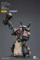 JOYTOY 40k 1/18 figuras de acción Anime 12cm caballeros grises Interceptor Strike Squad juguetes de modelos de colección - details 5
