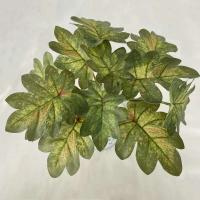 Boda falsa glicina plantas simuladas impresas en 3D, espalda de tortuga de plástico, hojas de manzana verde de bambú, decoración del hogar - details 24
