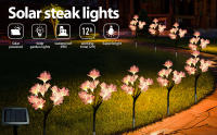 4pcs Luces de Flor Solar Decoración de Jardín LED 12 luces LED con 2 Modos de Iluminación para Patio Terrazza - details 0