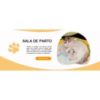 corral de parto para gatos