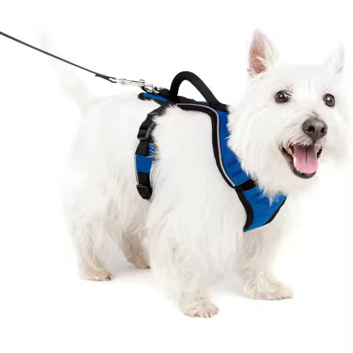 PetSafe EasySport - Arnés para Perros Acolchado Ajustable con Asa de Control y Cinta Reflectante - Negro - Mediano, M - 1