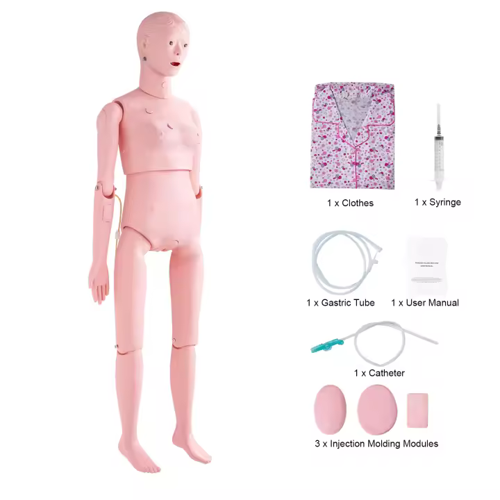 SucceBuy Maniquí de entrenamiento de enfermería de tamaño real para mujer, modelo educativo multifuncional, maniquí anatómico de PVC para simulación de cuidado del cuerpo humano y suministros de enseñanza - 1