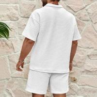 Conjunto deportivo para hombre, Polo de Color sólido, cómodo, informal, a la moda, novedad de verano, 2025 - details 2