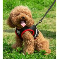 Conjunto de chaleco y arnés para perros pequeños y medianos, correa y arnés para cachorros y gatos, Collar reflectante para gatos - details 0