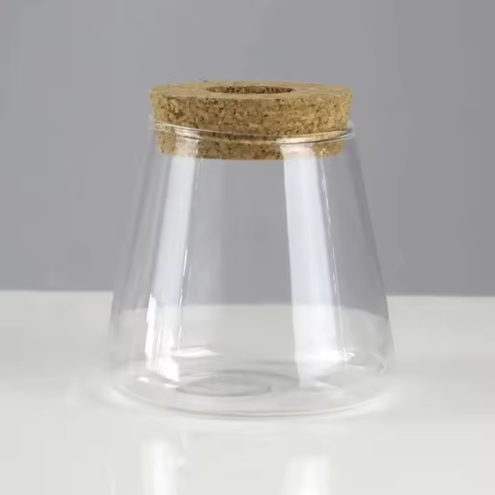 Mini ETA hidropónica de vidrio transparente, jarrones para plantas sin piso, cristalería vintage para salas de estar, hogares, oficinas, mesas, - 1