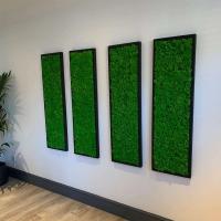 Musgo eterno, manualidades DIY, hierba, 20/40/100g, plantas verdes artificiales, decoración del hogar, habitación, jardín, mini país, hierba falsa - details 22