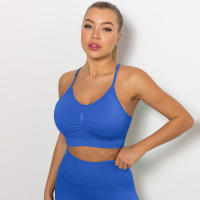 Hamidou-sujetadores deportivos para mujer, ropa interior para gimnasio, correr, a prueba de golpes, transpirable, sin mangas, para Yoga - details 5
