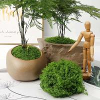 Mini Grass Country, musgo verde Artificial eterno, manualidades caseras, sala de estar, jardín, decoración de plantas, 30/50/100g - details 4