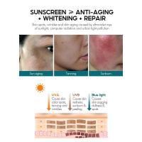 Protector solar SPF 50 hidratante, resistente al agua y duradero para el cuidado de la piel - details 2