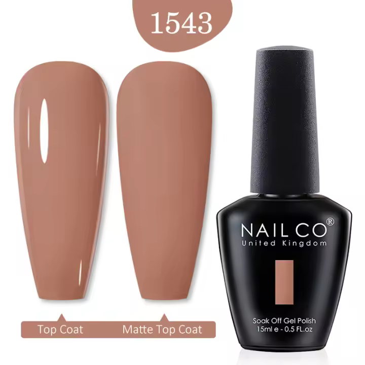 NAILCO-esmalte de uñas en Gel UV para decoración de uñas, conjunto de diseño de manicura DIY, colores de invierno y otoño, 15ml - 1