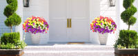 front door