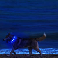 Correa LED de nailon para perro, Collar fluorescente luminoso de seguridad nocturna que brilla en la oscuridad - details 9