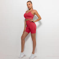 Conjunto de Yoga Sin Costuras para Mujeres Bra y Shorts Ropa De Gimnasio de Cintura Alta - details 9