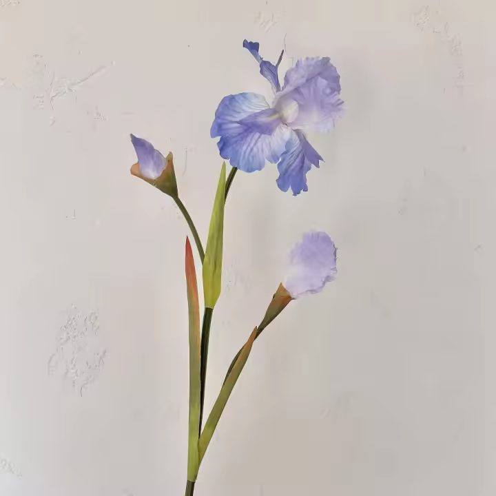 Rama de flor de Iris Artificial de 80cm, accesorios de fotografía, pintura al óleo Floral de imitación multiescena, accesorios DIY - 1