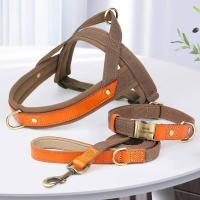 Collar de Cuero de Nylon para Perros Correa de Captura de Mascotas sin Tirón para Perros Pequeños y Grandes Correa de Vestir de Mascotas - details 19