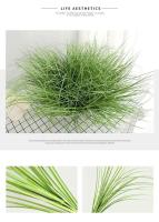 Decoración del hogar de hierba pequeña simulada para decorar pastizales, cañas, cebollas y plantas verdes falsas. - details 6
