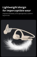 auriculares con micrófono PARAMITA DG09 resistente al agua IPX5 para trabajo y correr con reducción de ruido Bluetooth 5.3 marca StarSky auriculares inalámbricos normales con batería - details 9