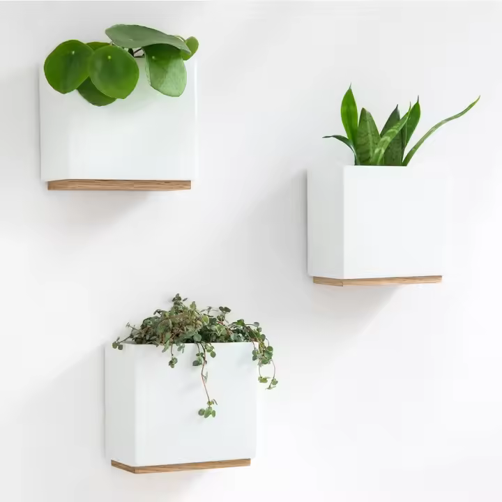 Jardineras de Pared -Alma- |   3 Macetas Colgantes Modernas de Resina |   Set de Porta Plantas para Plantas de Interior, Plantas Artificiales y más |   Blanco - 1