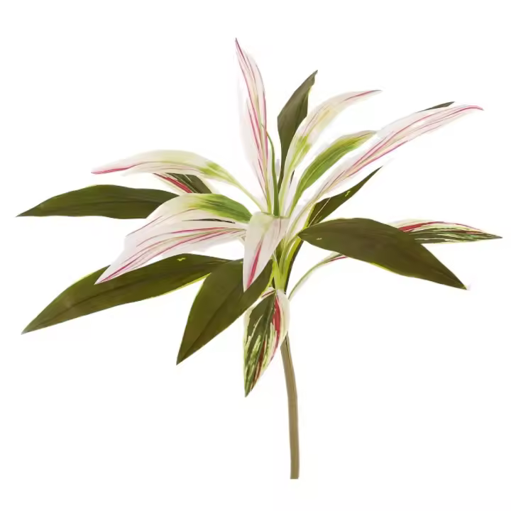 Decoración de jarrón DIY, plantas de Cycas artificiales grandes hechas a mano de plástico, belleza brasileña, Tequila, plantas falsas realistas, decoración para el hogar y la Oficina - 1