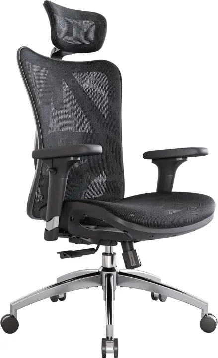 Silla de Oficina ergonómica, Respaldo Alto, Asiento Trasero de Malla, Transpirable, reposabrazos 3D Ajustable y Soporte Lumbar, Base de Metal (Negro) - 1