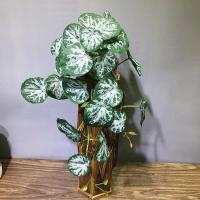 Planta artificial de 55 cm, utilizada para decoración de paredes, láminas de plástico, mini higos verdes, ramas de palma falsas, hogar, jardín y hotel - details 3