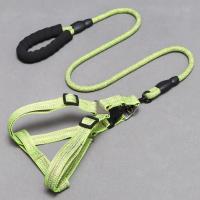 Conjunto de arnés y correa ajustables para perros, correa suave para el pecho para mascotas a prueba de Escape, Collar ligero y cómodo para gatos, correa para cachorros - details 0