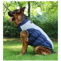 Chaqueta de Perro Impermeable Ropa de Mascota para Invierno para Perros Medianos y Grandes - details 4