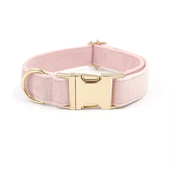 Collar de perro con hebilla de oro claro, terciopelo rosa con letras - 1